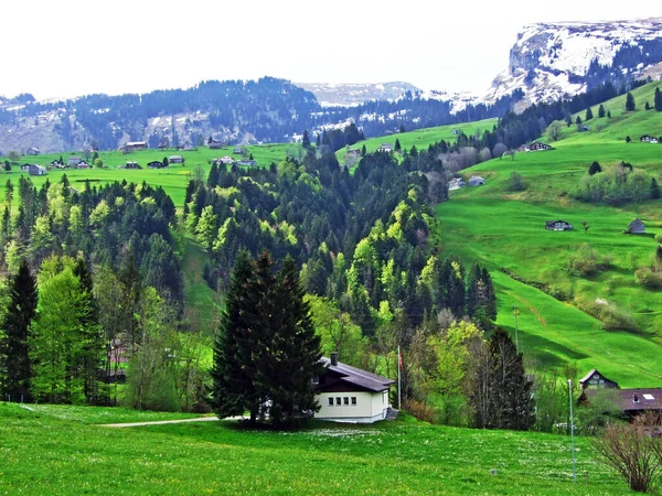 Gospodarstwa Hodowlane Bydła Architektura Wiejska Zboczach Alp Szwajcarskich Regionie Obertoggenburg — Zdjęcie stockowe