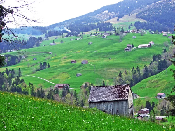 Gospodarstwa Hodowlane Bydła Architektura Wiejska Zboczach Alp Szwajcarskich Regionie Obertoggenburg — Zdjęcie stockowe