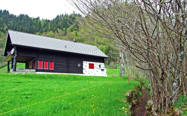 スイスアルプスの斜面とオーバートッゲンブルク地方の牛農場と農村建築 Unterwasser カントン セント ガレン スイス — ストック写真