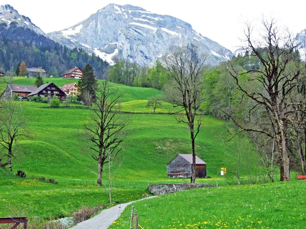 Rinderfarmen Und Ländliche Architektur Den Hängen Der Schweizer Alpen Und — Stockfoto
