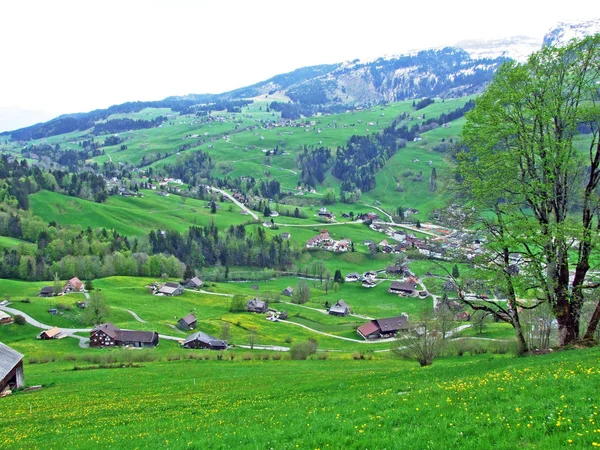 スイスアルプスの斜面とオーバートッゲンブルク地方の牛農場と農村建築 Unterwasser カントン セント ガレン スイス — ストック写真