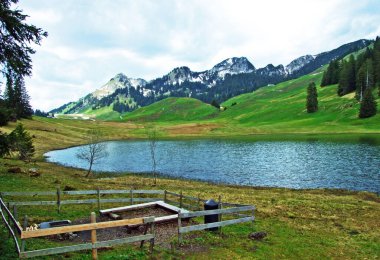 Graeppelensee ya da Grappelensee Alpine Gölü Obertoggenburg bölgesinde ve Alpstein dağ kütlesinin eteklerinde Unterwasser - İsviçre, St. Gallen Kantonu