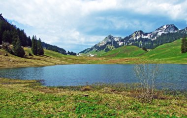 Graeppelensee ya da Grappelensee Alpine Gölü Obertoggenburg bölgesinde ve Alpstein dağ kütlesinin eteklerinde Unterwasser - İsviçre, St. Gallen Kantonu