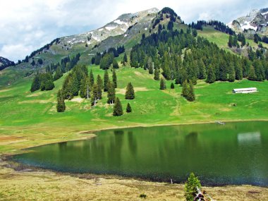 Graeppelensee ya da Grappelensee Alpine Gölü Obertoggenburg bölgesinde ve Alpstein dağ kütlesinin eteklerinde Unterwasser - İsviçre, St. Gallen Kantonu