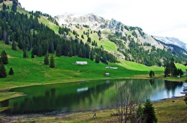Graeppelensee ya da Grappelensee Alpine Gölü Obertoggenburg bölgesinde ve Alpstein dağ kütlesinin eteklerinde Unterwasser - İsviçre, St. Gallen Kantonu