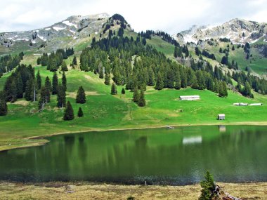 Graeppelensee ya da Grappelensee Alpine Gölü Obertoggenburg bölgesinde ve Alpstein dağ kütlesinin eteklerinde Unterwasser - İsviçre, St. Gallen Kantonu