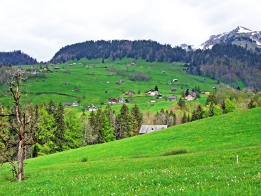 Alpstein dağlarının yamaçlarında ve Thur Vadisi 'nde Unterwasser Kantonu, İsviçre' de St. Gallen Kantonu 'nda Alpstein Dağları' nın yamaçlarında çayırları ve çayırları vardır.