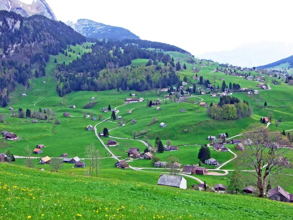 Gospodarstwa Hodowlane Bydła Architektura Wiejska Zboczach Alp Szwajcarskich Regionie Obertoggenburg — Zdjęcie stockowe