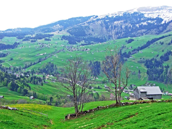 Gospodarstwa Hodowlane Bydła Architektura Wiejska Zboczach Alp Szwajcarskich Regionie Obertoggenburg — Zdjęcie stockowe