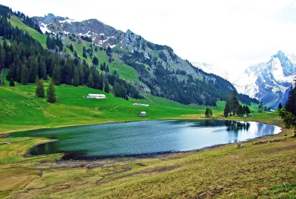Jezioro Alpejskie Graeppelensee Lub Grappelensee Regionie Obertoggenburg Podnóża Masywu Górskiego — Zdjęcie stockowe