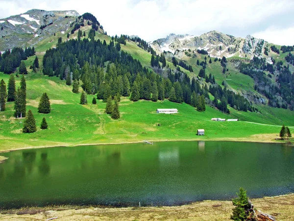 Jezioro Alpejskie Graeppelensee Lub Grappelensee Regionie Obertoggenburg Podnóża Masywu Górskiego — Zdjęcie stockowe