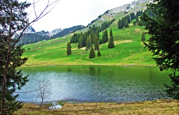 Jezioro Alpejskie Graeppelensee Lub Grappelensee Regionie Obertoggenburg Podnóża Masywu Górskiego — Zdjęcie stockowe