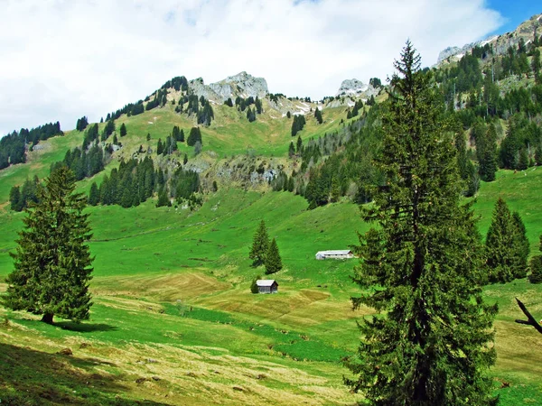 Alpejskie Pastwiska Łąki Zboczach Pasma Górskiego Alpstein Dolinie Rzeki Thur — Zdjęcie stockowe