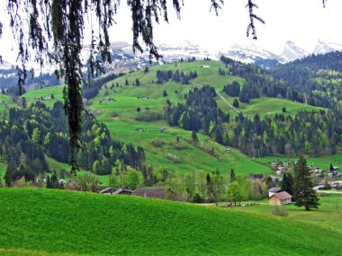 Karışık ormanlar ve seyreltilmiş ağaçlar Alpstein dağlarının yamaçlarında ve Thur Vadisi 'nde Unterwasser Kantonu, St. Gallen, İsviçre