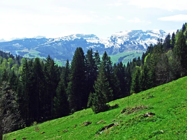 Smíšené Lesy Ztenčené Stromy Svazích Pohoří Alpstein Údolí Řeky Thur — Stock fotografie