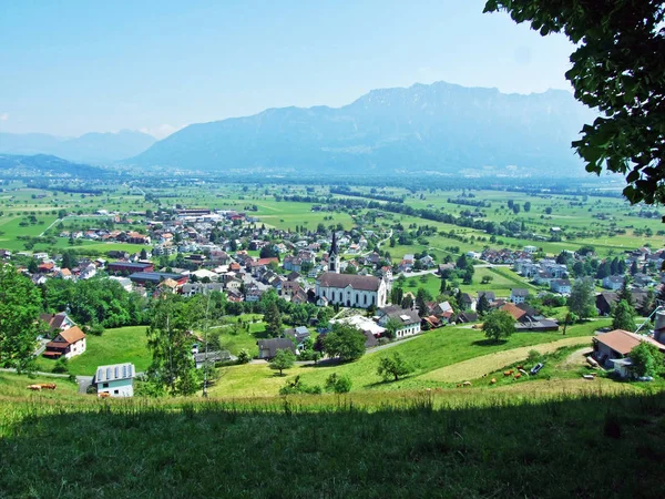 Pohled Osadu Gams Úrodné Údolí Řeky Rýn Rheintal Kanton Gallen — Stock fotografie