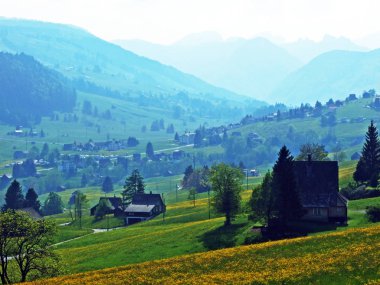 Geleneksel mimari ve çiftlik evleri Alpstein 'in yamaçlarında ve Ren Vadisi' nde (Rheintal), Gam 'de - İsviçre' nin St. Gallen Kantonu
