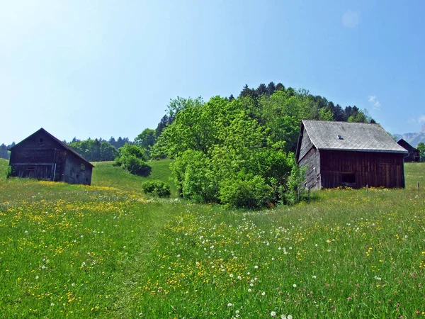 Traditionele Architectuur Boerderijen Hellingen Van Het Alpstein Massief Het Rijndal — Stockfoto