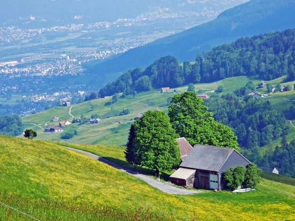 Alpstein地块斜坡上和瑞士圣加仑州莱茵河谷 莱茵塔尔 的传统建筑和农舍 — 图库照片