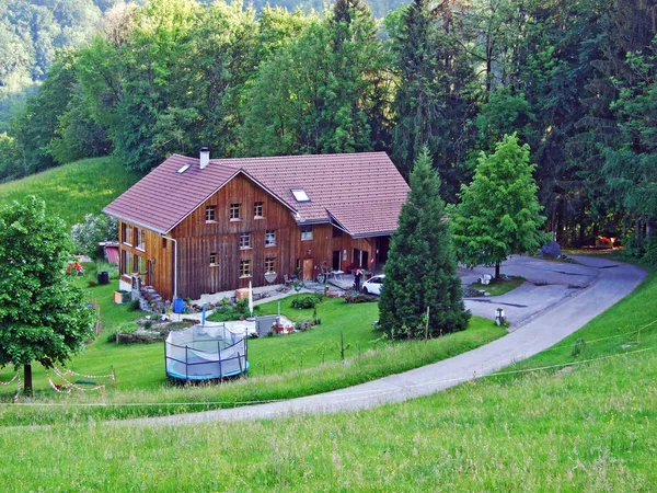 Architektura Tradycyjna Gospodarstwa Rolne Zboczach Masywu Alpstein Dolinie Renu Rheintal — Zdjęcie stockowe