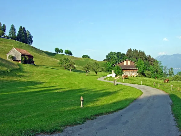 Traditional Architecture Farmhouses Slopes Alpstein Massif Rhine Valley Rheintal Gams — Stock Photo, Image