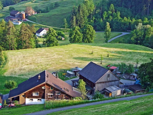 Arquitetura Tradicional Fazendas Nas Encostas Maciço Alpstein Vale Reno Rheintal — Fotografia de Stock