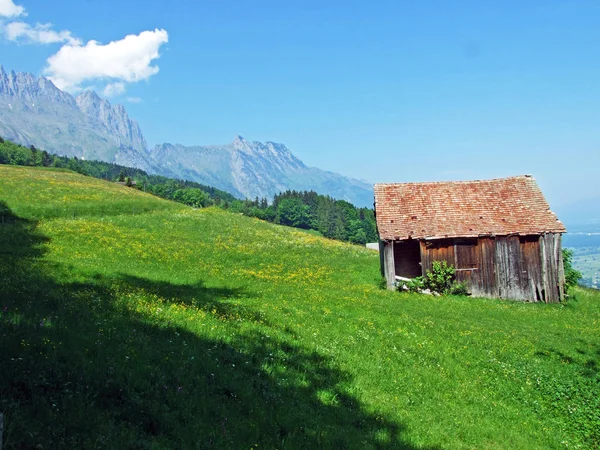 Traditional Architecture Farmhouses Slopes Alpstein Massif Rhine Valley Rheintal Gams — Stock Photo, Image