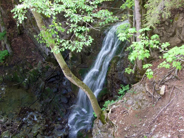 Cascadas Estacionales Las Laderas Del Macizo Montañoso Alpstein Gams Cantón — Foto de Stock