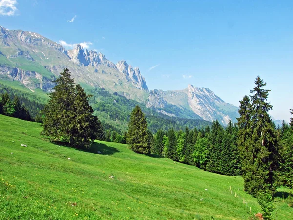 Pohled Pohoří Alpstein Údolí Řeky Rýn Rheintal Gams Kanton Gallena — Stock fotografie