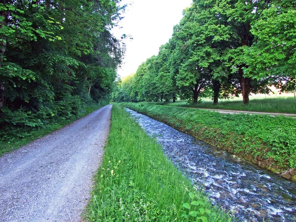 Promenada Aleja Wzdłuż Strumienia Grabserbach Grabs Canton Gallen Szwajcaria — Zdjęcie stockowe