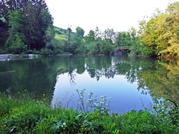 Étang Artificiel Avec Barrage Des Mini Marais Sur Ruisseau Grabserbach — Photo