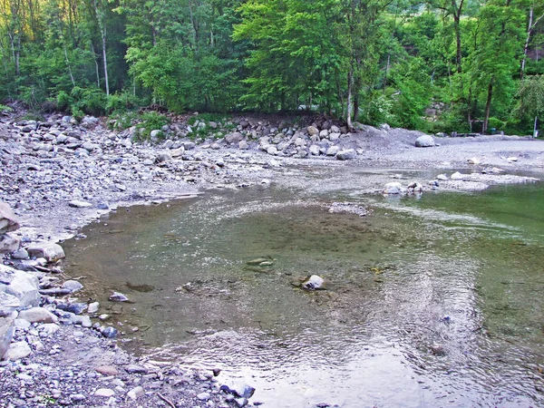 Estanque Artificial Con Una Presa Mini Pantanos Arroyo Grabserbach Grabs —  Fotos de Stock