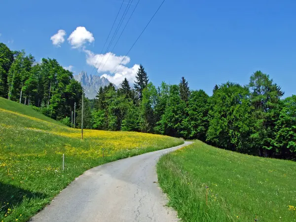 Sentieri Escursionistici Segnalati Sulle Pendici Del Massiccio Dell Alpstein Nella — Foto Stock