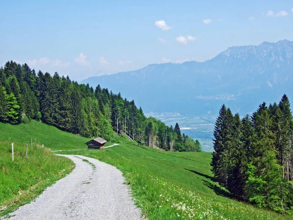 Walking Marked Trails Slopes Alpstein Massif Rhine Valley Rheintal Gams — Stock Photo, Image