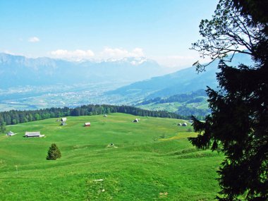Alpstein dağlarının yamaçlarında ve Ren Vadisi 'nde (Rheintal) ve İsviçre' nin St. Gallen Kantonu 'nda otlaklar ve çayırlar.
