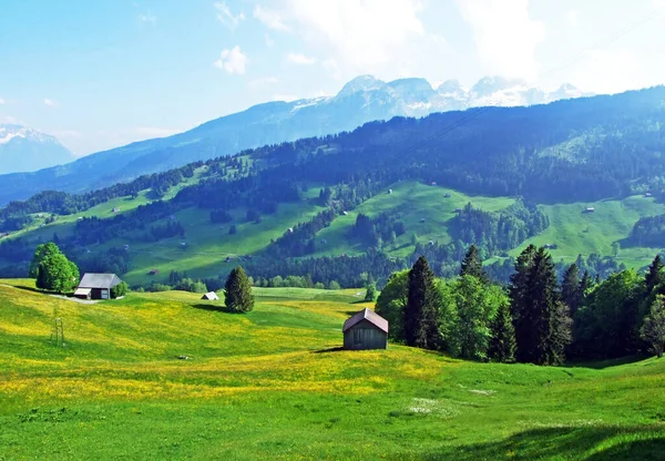 Alpina Betesmarker Och Ängar Sluttningarna Alpstein Bergskedjan Och Rhendalen Rheintal — Stockfoto