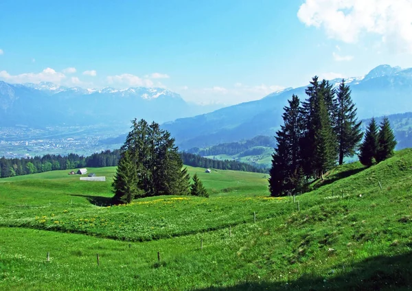 Alpejskie Pastwiska Łąki Zboczach Pasma Górskiego Alpstein Dolinie Renu Rheintal — Zdjęcie stockowe