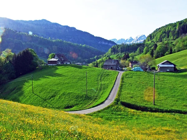 Alpské Pastviny Louky Údolí Řeky Thur Oblasti Obertoggenburg Nesslau Kanton — Stock fotografie