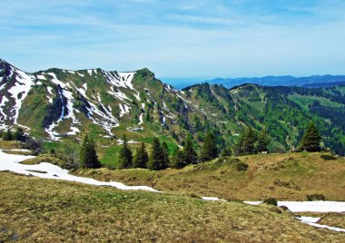 Thur Nehri vadisinde ve Obertoggenburg bölgesinde yer alan Alp otlakları ve çayırlar, Nesslau - İsviçre, St. Gallen Kantonu