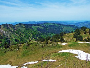Thur Nehri vadisinde ve Obertoggenburg bölgesinde yer alan Alp otlakları ve çayırlar, Nesslau - İsviçre, St. Gallen Kantonu