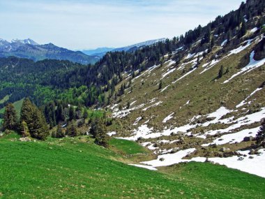 Thur Nehri vadisinde ve Obertoggenburg bölgesinde yer alan Alp otlakları ve çayırlar, Nesslau - İsviçre, St. Gallen Kantonu