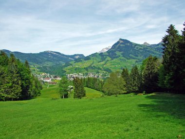 Thur Nehri vadisinde ve Obertoggenburg bölgesinde yer alan Alp otlakları ve çayırlar, Nesslau - İsviçre, St. Gallen Kantonu