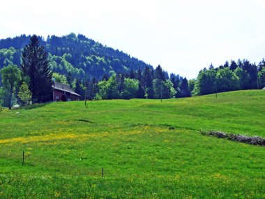 Thur Nehri vadisinde ve Obertoggenburg bölgesinde yer alan Alp otlakları ve çayırlar, Nesslau - İsviçre, St. Gallen Kantonu