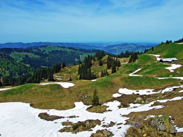 Alpské Pastviny Louky Údolí Řeky Thur Oblasti Obertoggenburg Nesslau Kanton — Stock fotografie