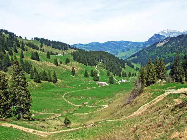 Alpina Betesmarker Och Ängar Thur River Valley Och Obertoggenburg Regionen — Stockfoto