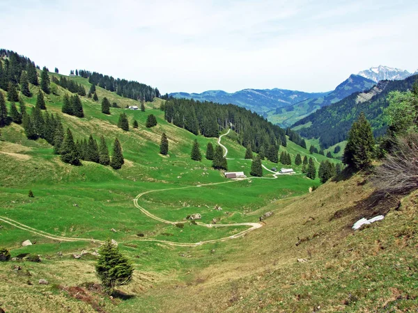 Pastos Prados Alpinos Valle Del Río Thur Región Obertoggenburg Nesslau —  Fotos de Stock