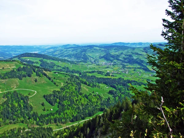 Villaggio Nesslau Nella Valle Del Fiume Thur Nella Regione Obertoggenburg — Foto Stock