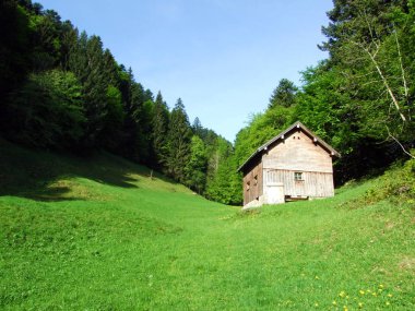 Thur Nehri Vadisi ve Obertoggenburg Bölgesi 'ndeki sığır çiftlikleri ve kırsal mimari, Nesslau - İsviçre, St. Gallen Kantonu