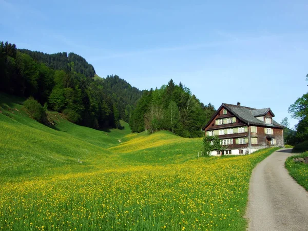 유역의 목축업 그리고 오베르 부르크 슬라우 스위스 세인트 갈렌의 — 스톡 사진