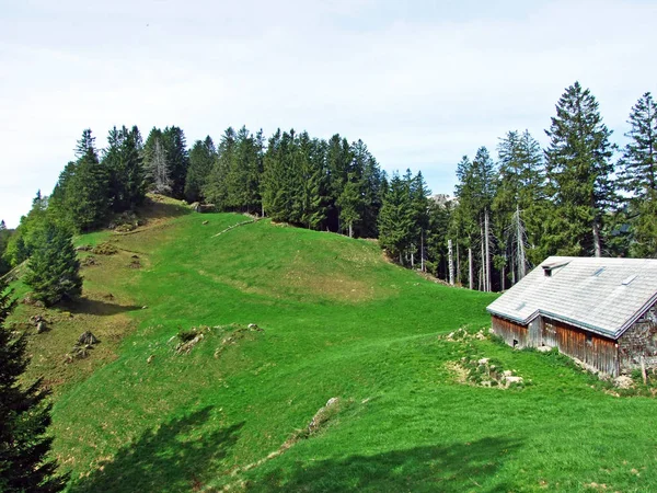 Granjas Ganaderas Arquitectura Rural Valle Del Río Thur Región Obertoggenburg —  Fotos de Stock